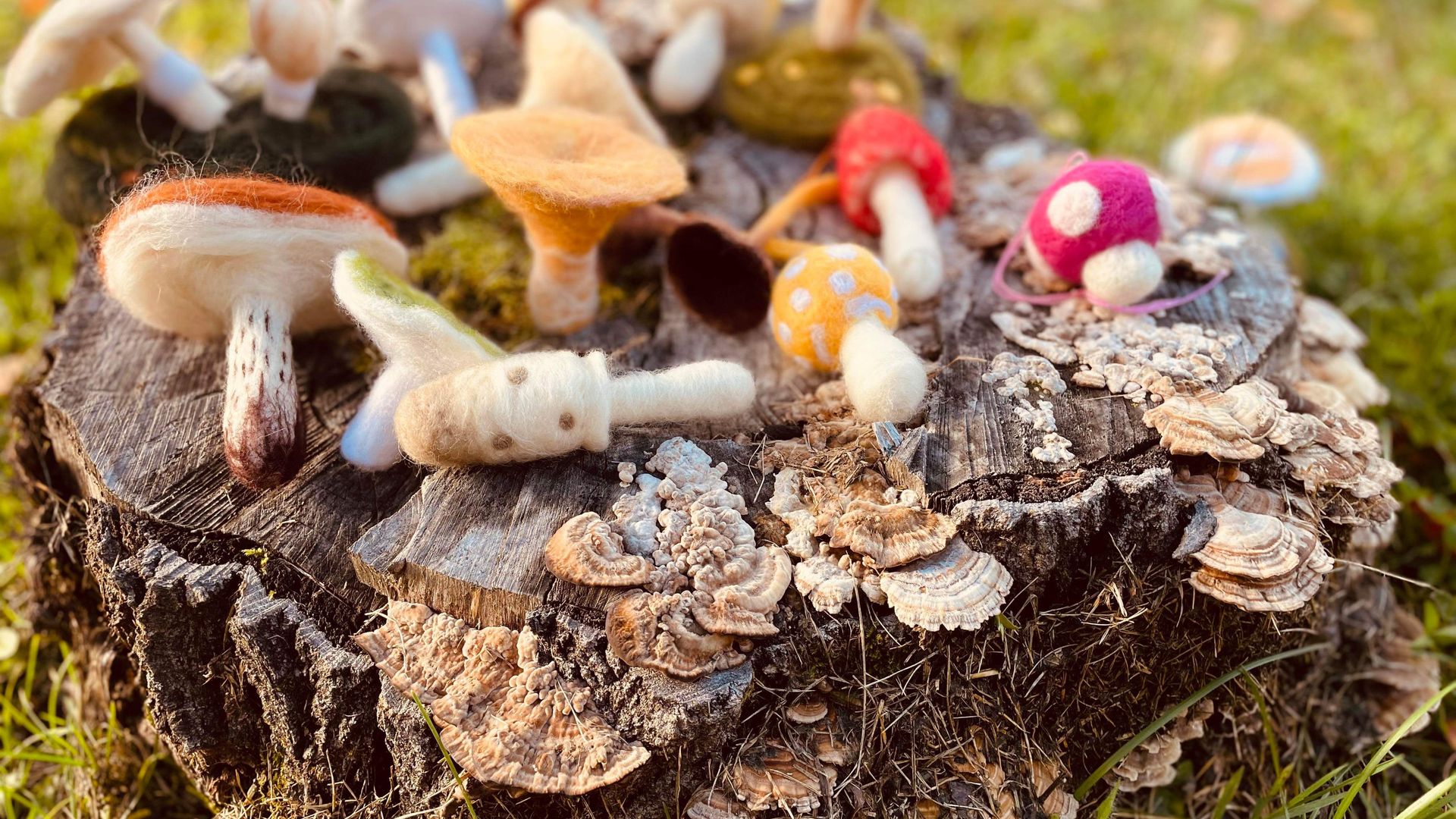 Confection de champignons en laine feutrée