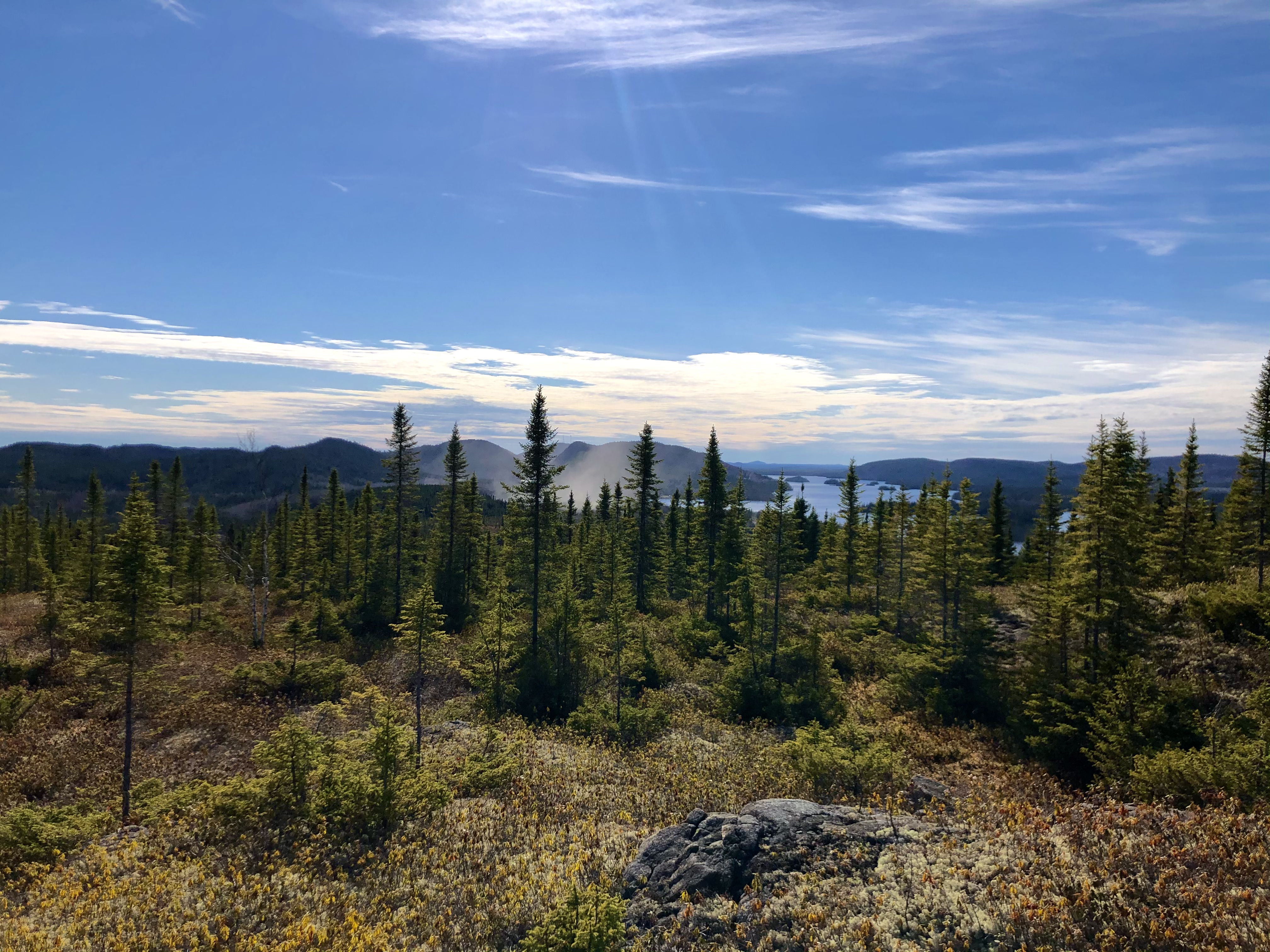 Politique de confidentialité